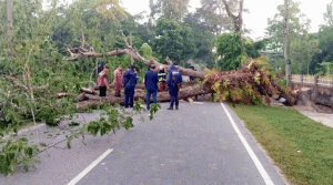 রাজনগর- ফেঞ্চুগঞ্জ-সিলেট মহাসড়কে গাছ ফেলে অবরোধ