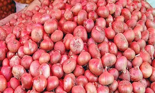 কারসাজি করে পেঁয়াজের দাম বাড়ানো হচ্ছে : কৃষি উপদেষ্টা