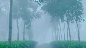 শ্রীমঙ্গলে দেশের সর্বনিম্ন তাপমাত্রা