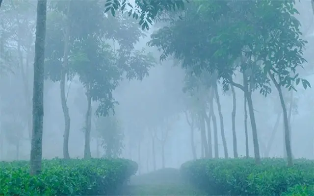 শ্রীমঙ্গলে দেশের সর্বনিম্ন তাপমাত্রা