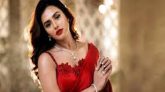 আমরা কি শুধু ব্যাখ্যা দেওয়ার জন্য জন্মেছি?