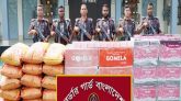 বিজিবির অভিযানে উদ্ধার ৬৬ লাখ টাকার ভারতীয় পণ্য