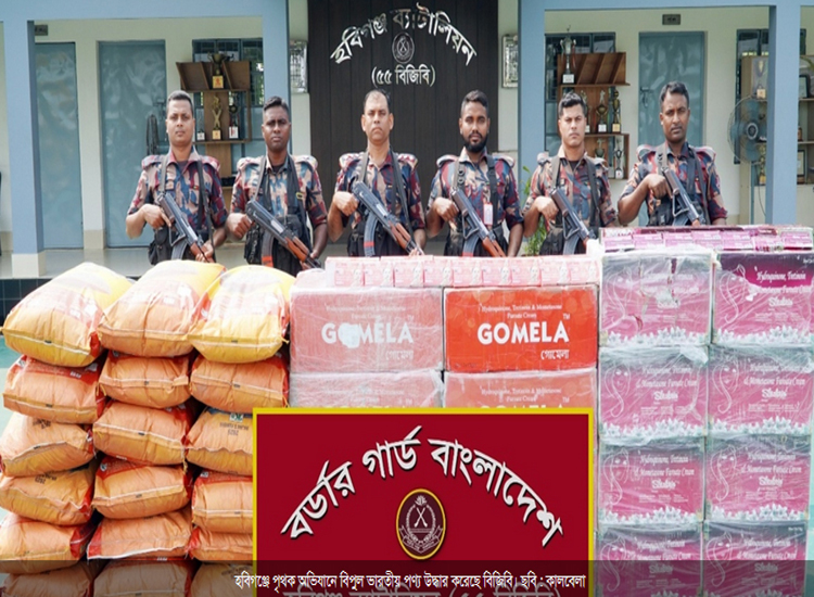 বিজিবির অভিযানে উদ্ধার ৬৬ লাখ টাকার ভারতীয় পণ্য