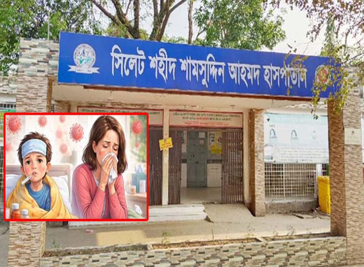 সিলেটের শামসুদ্দিন হাসপাতালে ৫০, আরও ১৫টিতে ৩৫ জন ভর্তি