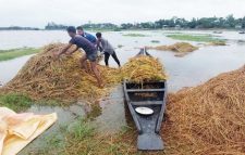 সিলেটের ৪ জেলায় বন্যার শঙ্কা, নদীর পানি বিপৎসীমার ওপরে