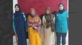 মাজারের ইবাদতখানা থেকে গ্রে প্তা র পপি