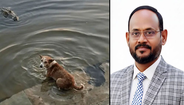 কুকুর-কুমির ঘটনা তদন্তের মাধ্যমে দোষীদের শাস্তির নির্দেশ প্রতিমন্ত্রী টুকুর