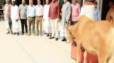 হযরত শাহজালাল (রহ.)’র ওরসে প্রধানমন্ত্রীর গরু উপহার