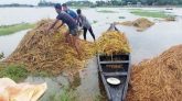 সিলেট বিভাগের ২ নদীর পানি বিপৎসীমার ওপরে, নিম্নাঞ্চল প্লাবিত