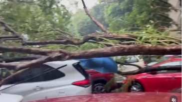 ঝড়-বজ্রপাতে লণ্ডভণ্ড পশ্চিমবঙ্গ, ১৩ জনের মৃত্যু