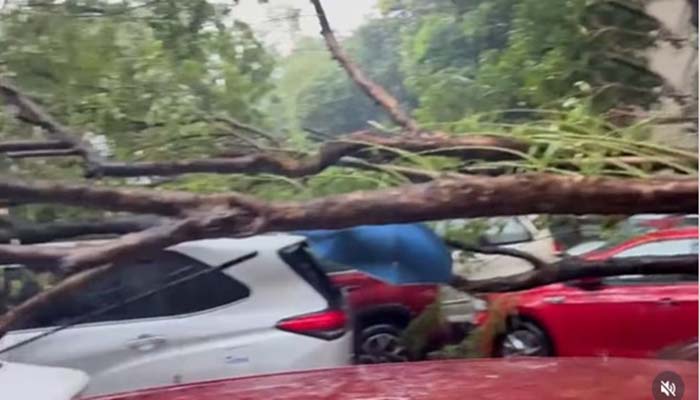 ঝড়-বজ্রপাতে লণ্ডভণ্ড পশ্চিমবঙ্গ, ১৩ জনের মৃত্যু