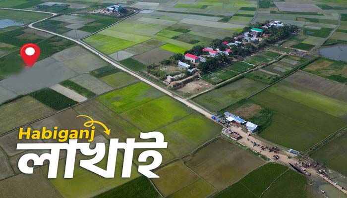 লাখাইয়ে ৫ জনের রহস্যজনক মৃত্যু