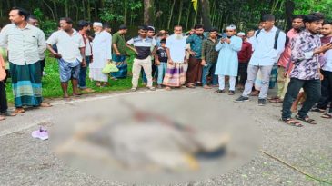 সিলেটে ঘুরতে এসে সড়কে প্রা ণ গেল কিশোরীর
