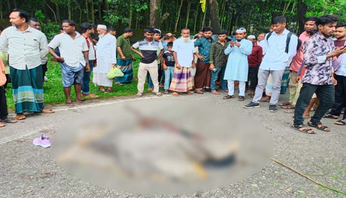সিলেটে ঘুরতে এসে সড়কে প্রা ণ গেল কিশোরীর