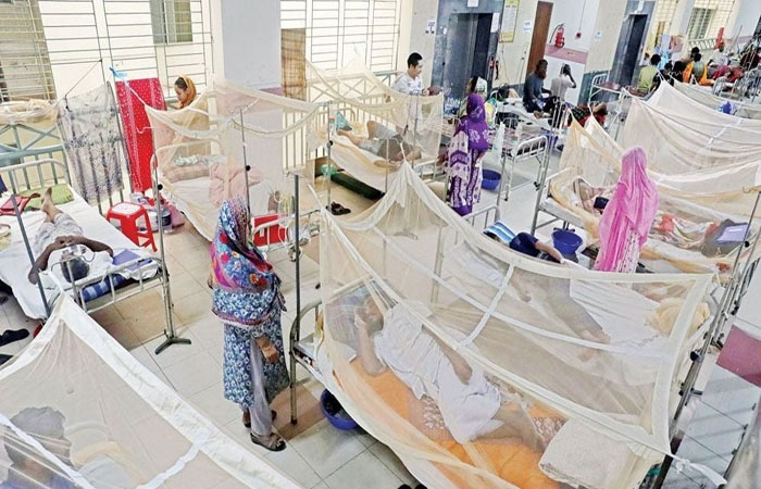 ডেঙ্গুতে আরও ৬ জনের মৃত্যু, হাসপাতালে ১৫৯৩