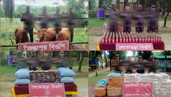 সিলেটে ১৯ বিজিবির অভিযান: ১৪ লাখ টাকার অবৈধ মালামাল জব্দ
